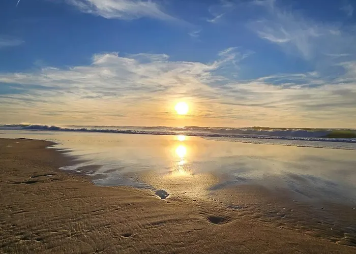 O'contisparadise 2 * 波讷地区圣朱利安